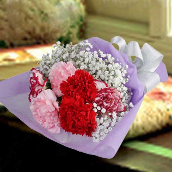 6 Mixed Carnations Small Hand Bouquet