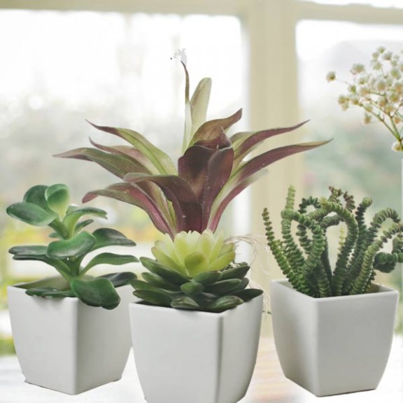 4 Artificial Mixed Mini Cactus Potted Plants