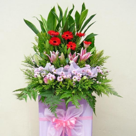 Pink Lily & Red Gerbera on Pink Box Stand (6 Feet in height)