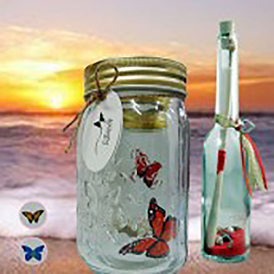 Electronic Butterfly in Jar & Message in a Bottle