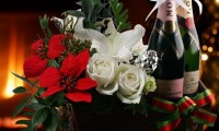 Special arrival of summer holidays gifts