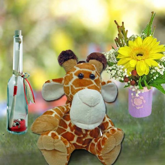 Message-in-Bottle/Giraffe/Flowers